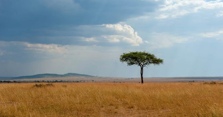 Serengeti National Park