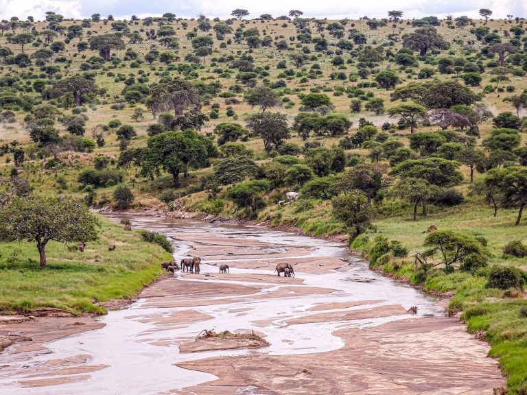 Tarangire National Park